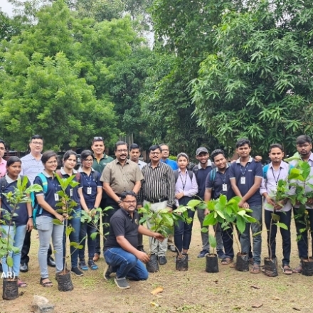 Plantation Drive